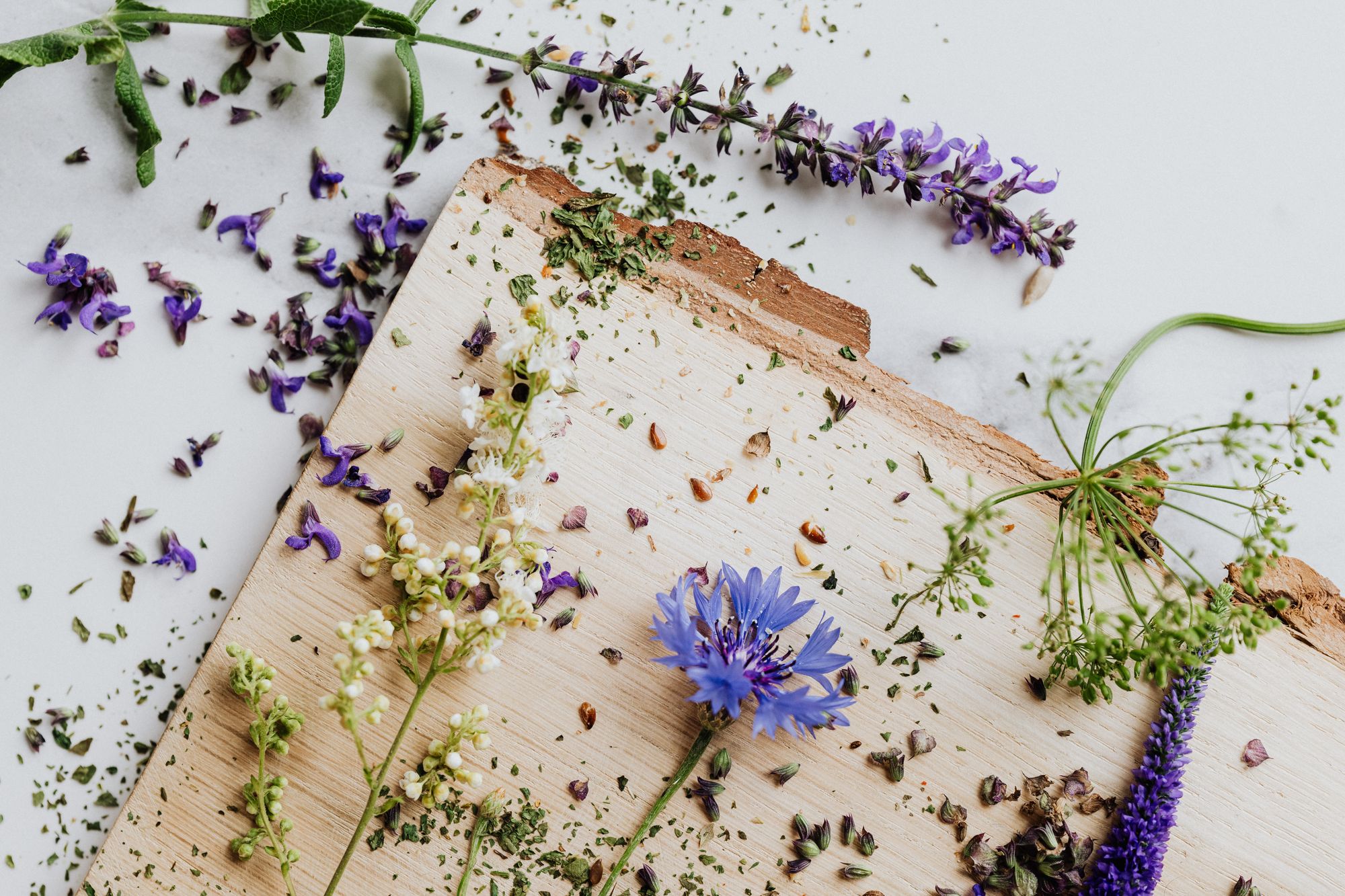 Dried medicinal herbs and flowers on a wooden board